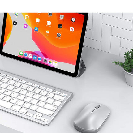 OMOTON Bluetooth Mouse for iPad and iPhone (iPadOS 13 / iOS 13 and Above), Ultra-Thin Wireless Mouse Compatible with Bluetooth Enabled Computer, Laptop, PC, Notebook, and Mac Series (Silver)